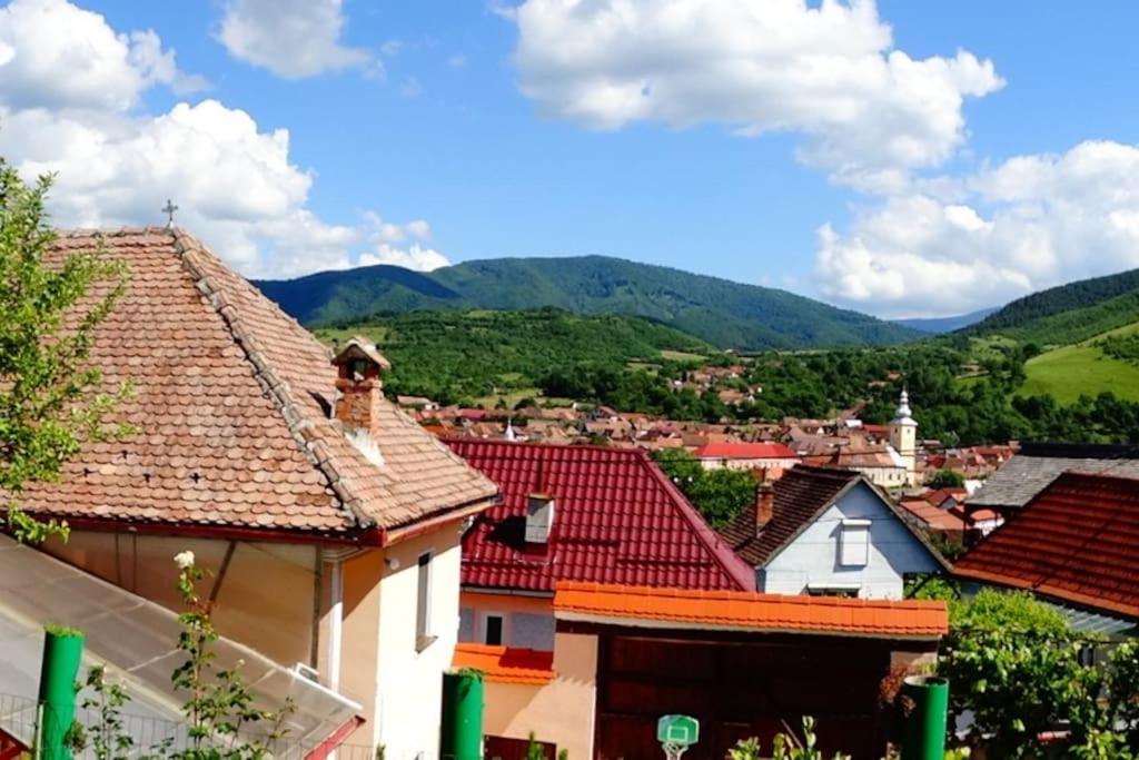 Apartament Panoramic La Casa In Comuna Rasinari Bagian luar foto