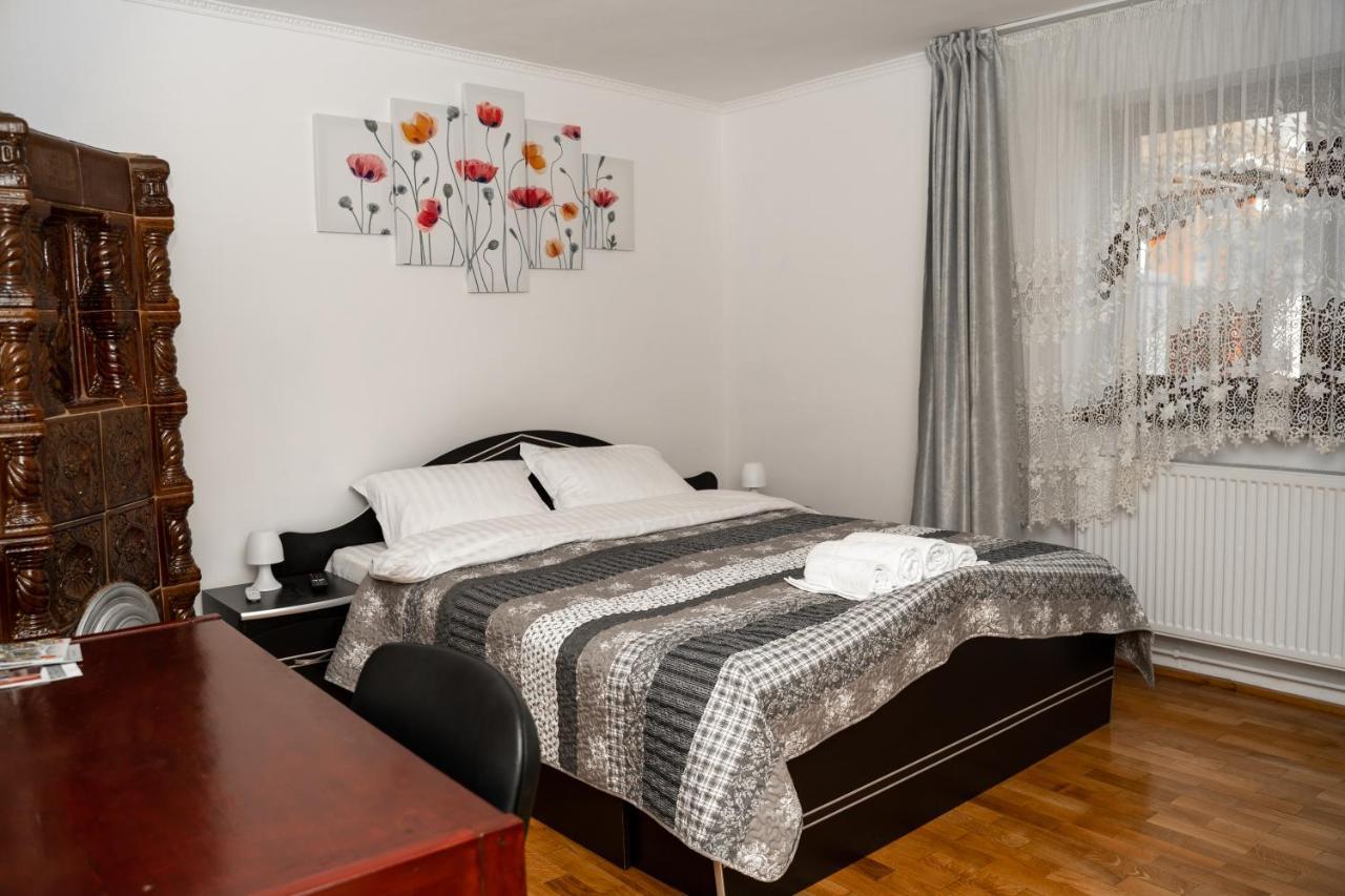 Apartament Panoramic La Casa In Comuna Rasinari Bagian luar foto