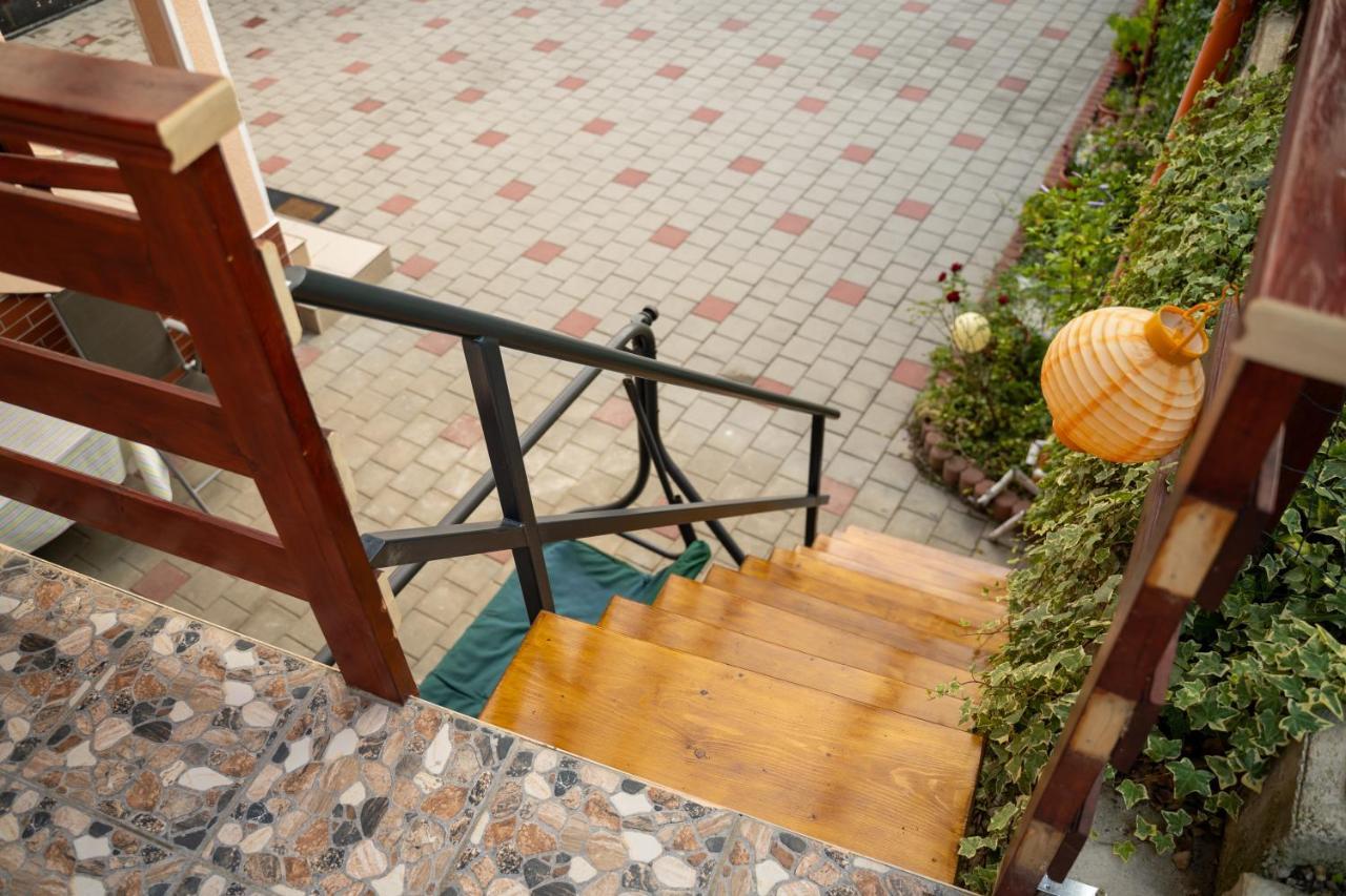 Apartament Panoramic La Casa In Comuna Rasinari Bagian luar foto