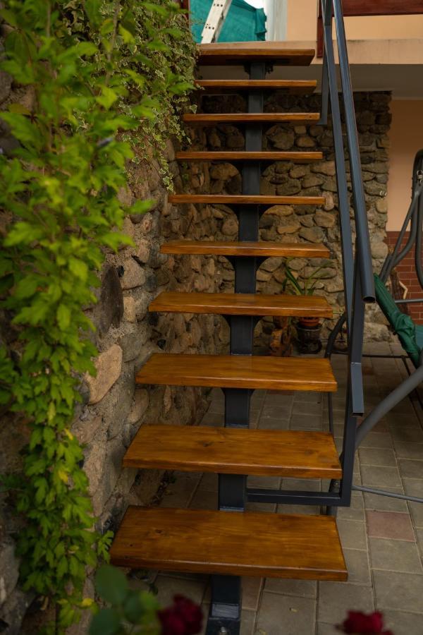 Apartament Panoramic La Casa In Comuna Rasinari Bagian luar foto