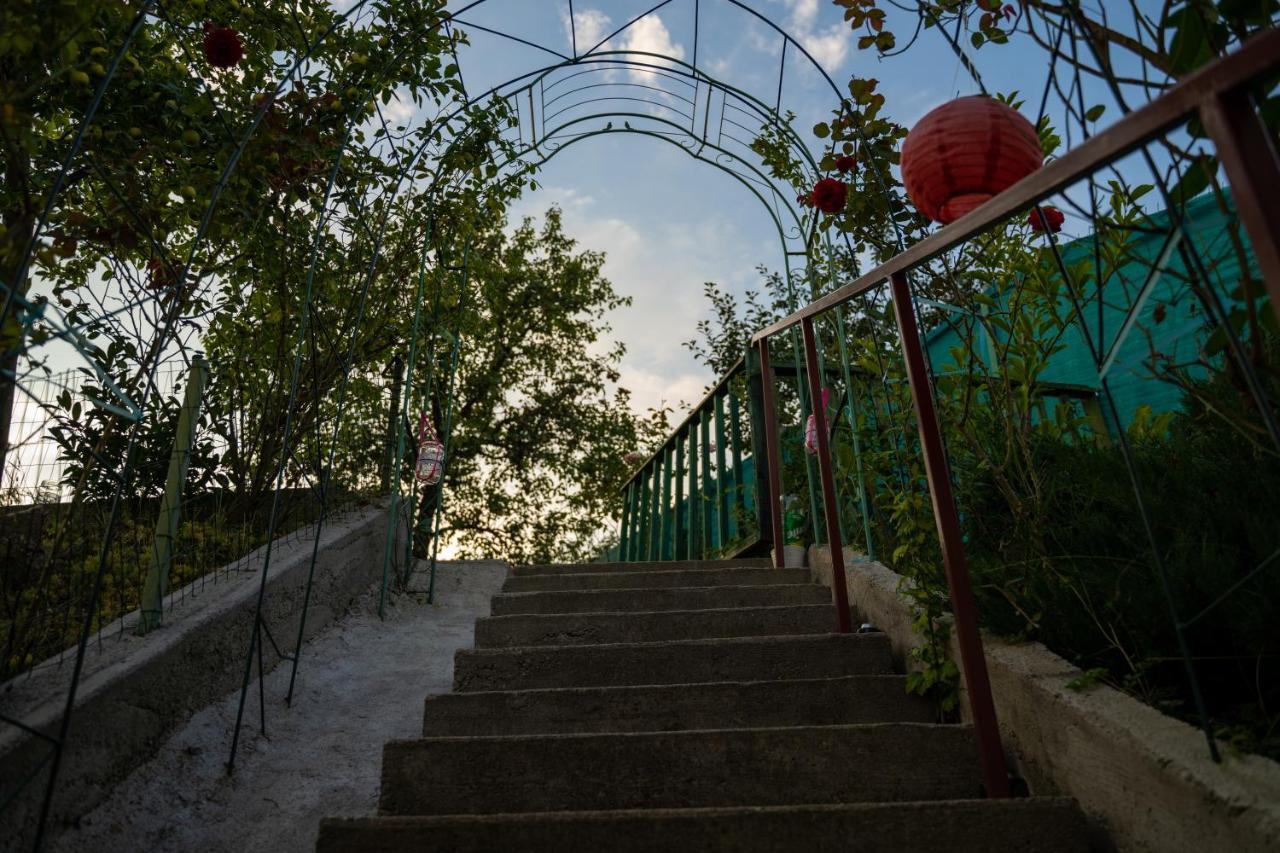 Apartament Panoramic La Casa In Comuna Rasinari Bagian luar foto