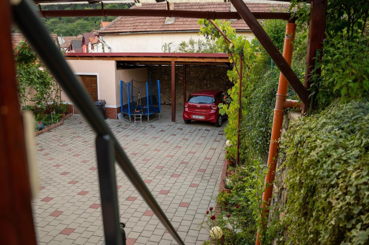 Apartament Panoramic La Casa In Comuna Rasinari Bagian luar foto