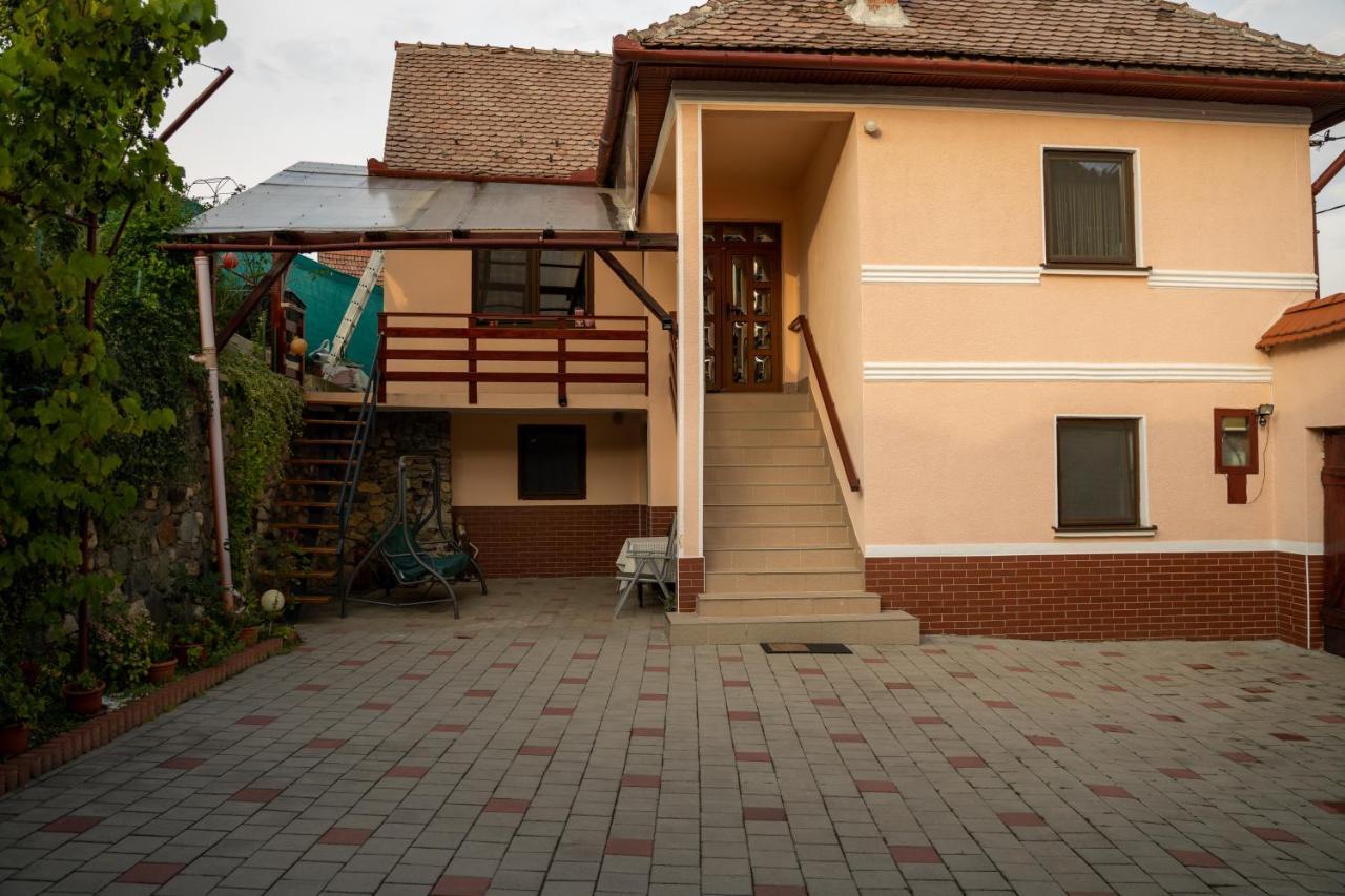 Apartament Panoramic La Casa In Comuna Rasinari Bagian luar foto